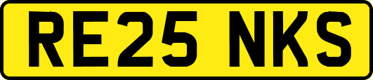 RE25NKS