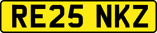 RE25NKZ