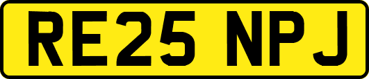 RE25NPJ