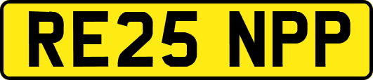 RE25NPP