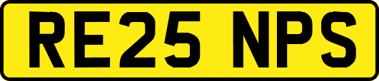 RE25NPS
