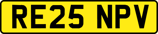 RE25NPV