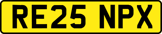 RE25NPX