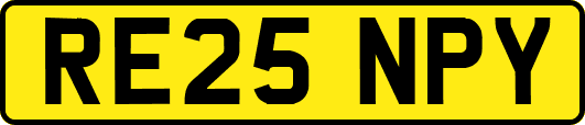 RE25NPY
