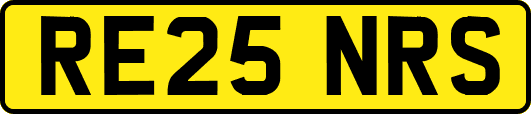 RE25NRS