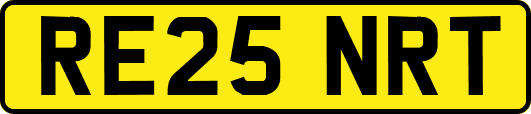 RE25NRT