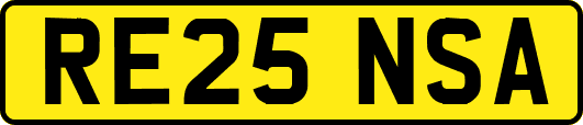 RE25NSA