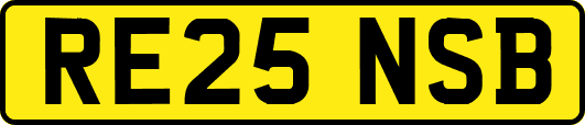 RE25NSB