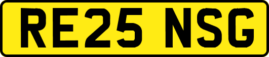 RE25NSG