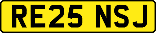 RE25NSJ
