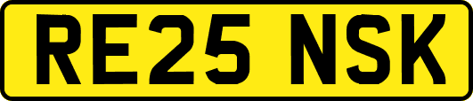 RE25NSK