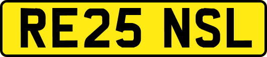 RE25NSL