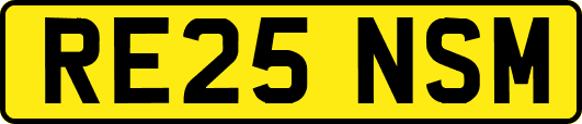 RE25NSM