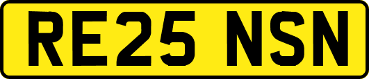 RE25NSN
