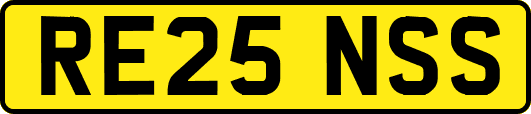 RE25NSS