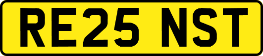 RE25NST