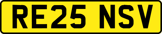 RE25NSV