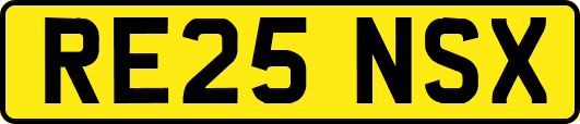 RE25NSX