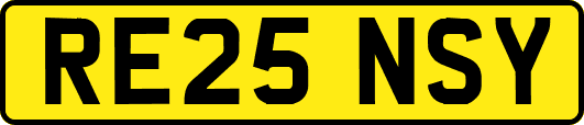 RE25NSY