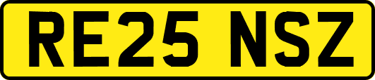 RE25NSZ