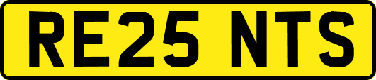 RE25NTS