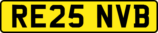 RE25NVB
