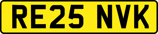 RE25NVK
