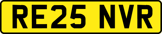 RE25NVR