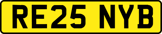 RE25NYB