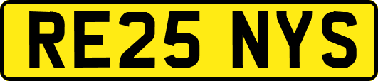 RE25NYS