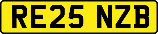 RE25NZB