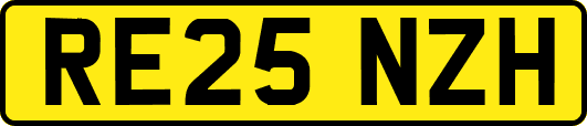 RE25NZH