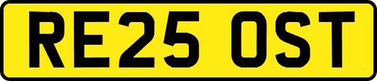 RE25OST