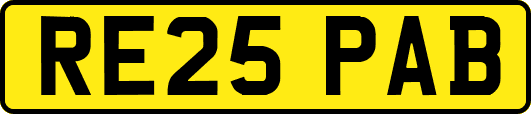 RE25PAB