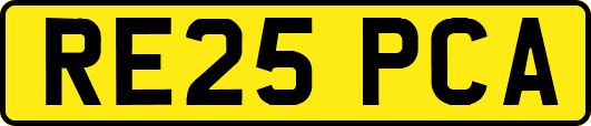 RE25PCA