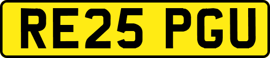 RE25PGU