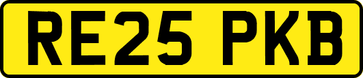 RE25PKB
