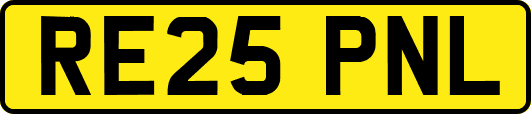 RE25PNL