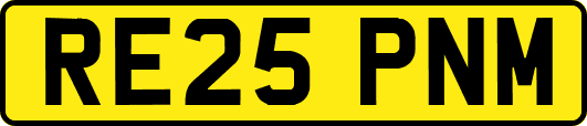 RE25PNM