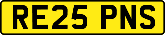 RE25PNS