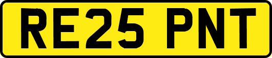 RE25PNT