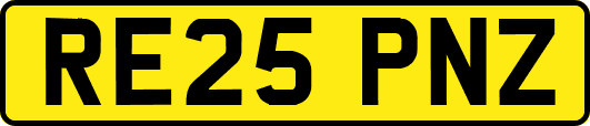 RE25PNZ