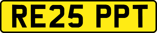 RE25PPT