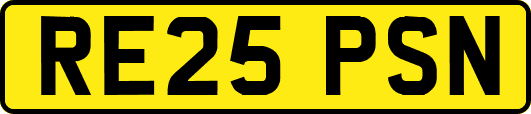 RE25PSN