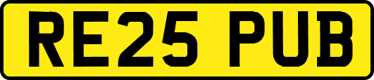 RE25PUB