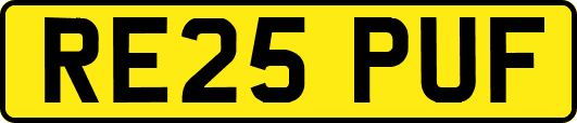 RE25PUF