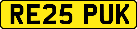 RE25PUK