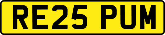 RE25PUM