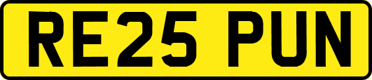 RE25PUN