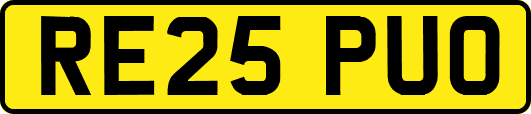 RE25PUO